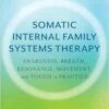 Somatic Internal Family Systems Therapy: Awareness, Breath, Resonance, Movement, and Touch in Practice–Endorsed by top experts in therapeutic healing modalities (EPUB)