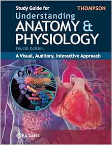 Study Guide for Understanding Anatomy & Physiology: A Visual, Auditory, Interactive Approach, 4th Edition (PDF ) Study Guide for Understanding Anatomy & Physiology: A Visual, Auditory, Interactive Approach, 4th Edition (PDF )