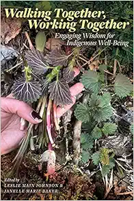 Walking Together, Working Together: Engaging Wisdom for Indigenous Well-Being (Patterns of Northern Traditional Healing Series) (PDF)