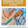 Chikungunya Virus-Like Particles as Vaccine Candidates: A Pilot Study (PDF) Chikungunya Virus-Like Particles as Vaccine Candidates: A Pilot Study (PDF)
