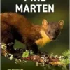 Pine Marten: The Secret Life of Martes martes (EPUB)
