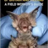 Identifying Bats of Britain and Ireland: A Field Worker’s Guide (EPUB) Identifying Bats of Britain and Ireland: A Field Worker’s Guide (EPUB)