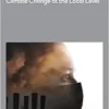 Cities, Climate Change, and Public Health: Building Human Resilience to Climate Change at the Local Level (Anthem Environment and Sustainability Initiative) (PDF)