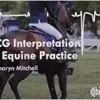 ECG Interpretation in Equine Practice (EPUB)