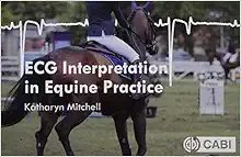 ECG Interpretation in Equine Practice (EPUB) ECG Interpretation in Equine Practice (EPUB)