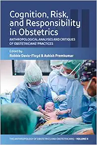 Cognition, Risk, and Responsibility in Obstetrics: Anthropological Analyses and Critiques of Obstetricians’ Practices (The Anthropology of Obstetrics … Reproduction of a Biomedical Profession, 2) (EPUB)