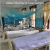 The Work of Hospitals: Global Medicine in Local Cultures (PDF) The Work of Hospitals: Global Medicine in Local Cultures (PDF)