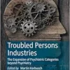 Troubled Persons Industries: The Expansion of Psychiatric Categories beyond Psychiatry (EPUB)