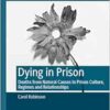 Dying in Prison: Deaths from Natural Causes in Prison Culture, Regimes and Relationships (Palgrave Studies in Prisons and Penology) (EPUB)