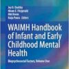 WAIMH Handbook of Infant and Early Childhood Mental Health: Biopsychosocial Factors, Volume One (EPUB)