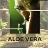 Aloe Vera: Wüstenpflanze für Gesundheit und Schönheit: Mit altem Wissen zu Gesundheit und Schönheit (German Edition) (EPUB) Aloe Vera: Wüstenpflanze für Gesundheit und Schönheit: Mit altem Wissen zu Gesundheit und Schönheit (German Edition) (EPUB)