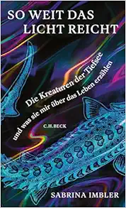 So weit das Licht reicht (EPUB)