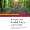 Burnout und Erschöpfungsdepression: Konzepte, Verursachungsmodelle, Therapieansätze (PDF)