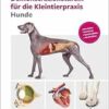 Demonstrationstafeln für die Kleintierpraxis Hunde (PDF)