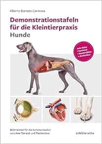 Demonstrationstafeln für die Kleintierpraxis Hunde (PDF)