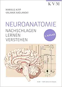 Neuroanatomie: Nachschlagen | Lernen | Verstehen (EPUB)