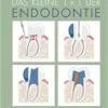 Das kleine 1×1 der Endodontie (PDF)