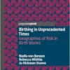 Birthing in Unprecedented Times: Geographies of Risk in Birth Stories (EPUB)