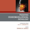 Pediatric Craniomaxillofacial Pathology, An Issue of Oral and Maxillofacial Surgery Clinics of North America (True PDF ) Pediatric Craniomaxillofacial Pathology, An Issue of Oral and Maxillofacial Surgery Clinics of North America (True PDF )