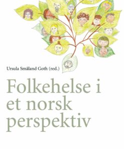 Folkehelse i et norsk perspektiv (EPUB)