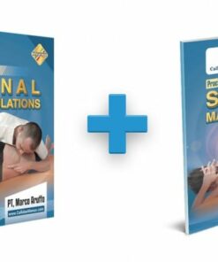 Callidaemanus Spinal Manipulation Course