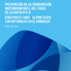 Prevención de la transmisión maternoinfantil del virus de la hepatitis B: Directrices sobre la profilaxis con antivirales en el embarazo (Spanish Edition) (PDF)