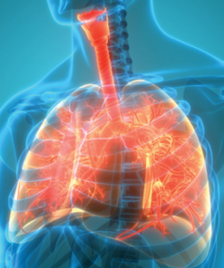 The Brigham Board Review and Comprehensive Update in Pulmonary Medicine 2025 (Videos + Slides)