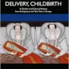 Pregnancy, Delivery, Childbirth (EPUB)