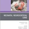 Neonatal Neurocritical Care, An Issue of Clinics in Perinatology (Volume 52-2) (The Clinics: Orthopedics, Volume 52-2) (EPUB)