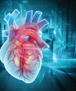 The Brigham Board Review and Comprehensive Update in Cardiology 2025 (Videos + Slides PDFs)