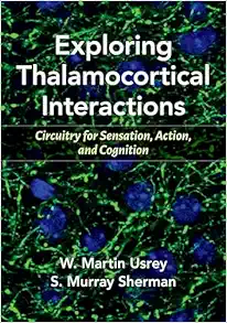 Exploring Thalamocortical Interactions: Circuitry for Sensation, Action, and Cognition (EPUB) Exploring Thalamocortical Interactions: Circuitry for Sensation, Action, and Cognition (EPUB)