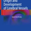 Origin and Development of Cerebral Vessels :