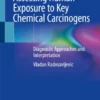 Assessing Human Exposure to Key Chemical Carcinogens : Diagnostic Approaches and Interpretation