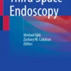 Third Space Endoscopy :