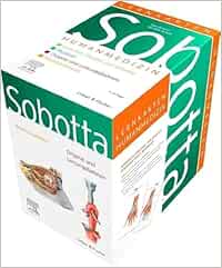 Sobotta Lernkarten Humanmedizin, 4. Auflage (PDF) Sobotta Lernkarten Humanmedizin, 4. Auflage (PDF)