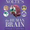 Nolte’s The Human Brain, 9th Edition (EPUB)