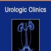 Medical and Surgical Management of Urolithiasis, An Issue of Urologic Clinics of North America (Volume 52-3) (The Clinics: Surgery, Volume 52-3) (EPUB)
