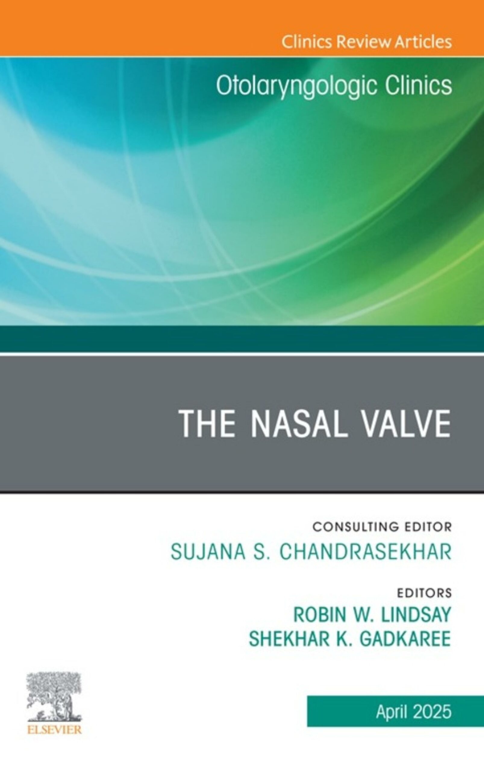 The Nasal Valve, An Issue of Otolaryngologic Clinics of North America (PDF) The Nasal Valve, An Issue of Otolaryngologic Clinics of North America (PDF)
