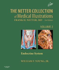 Netter Collection of Medical Illustrations: Endocrine System, 2nd Edition (EPUB)