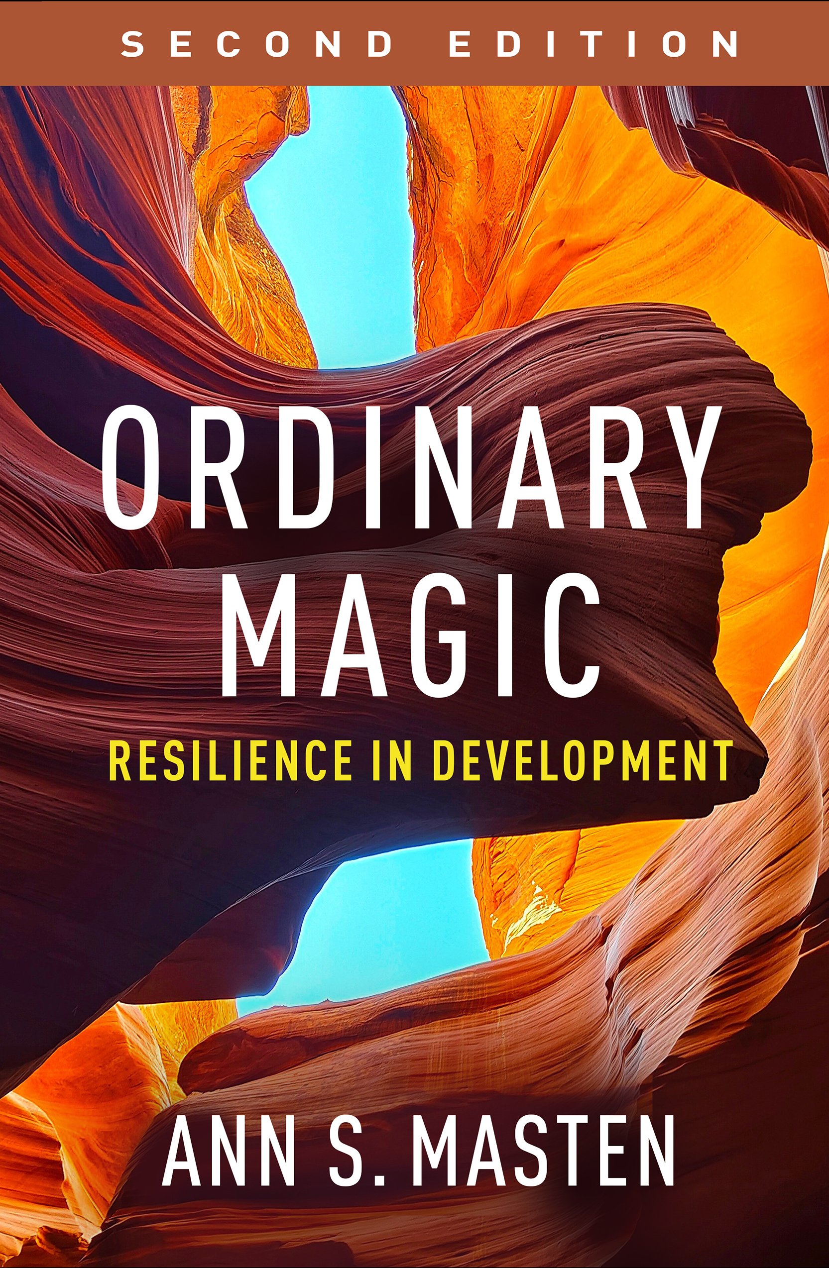 Ordinary Magic: Resilience in Development, 2nd Edition (PDF) Ordinary Magic: Resilience in Development, 2nd Edition (PDF)