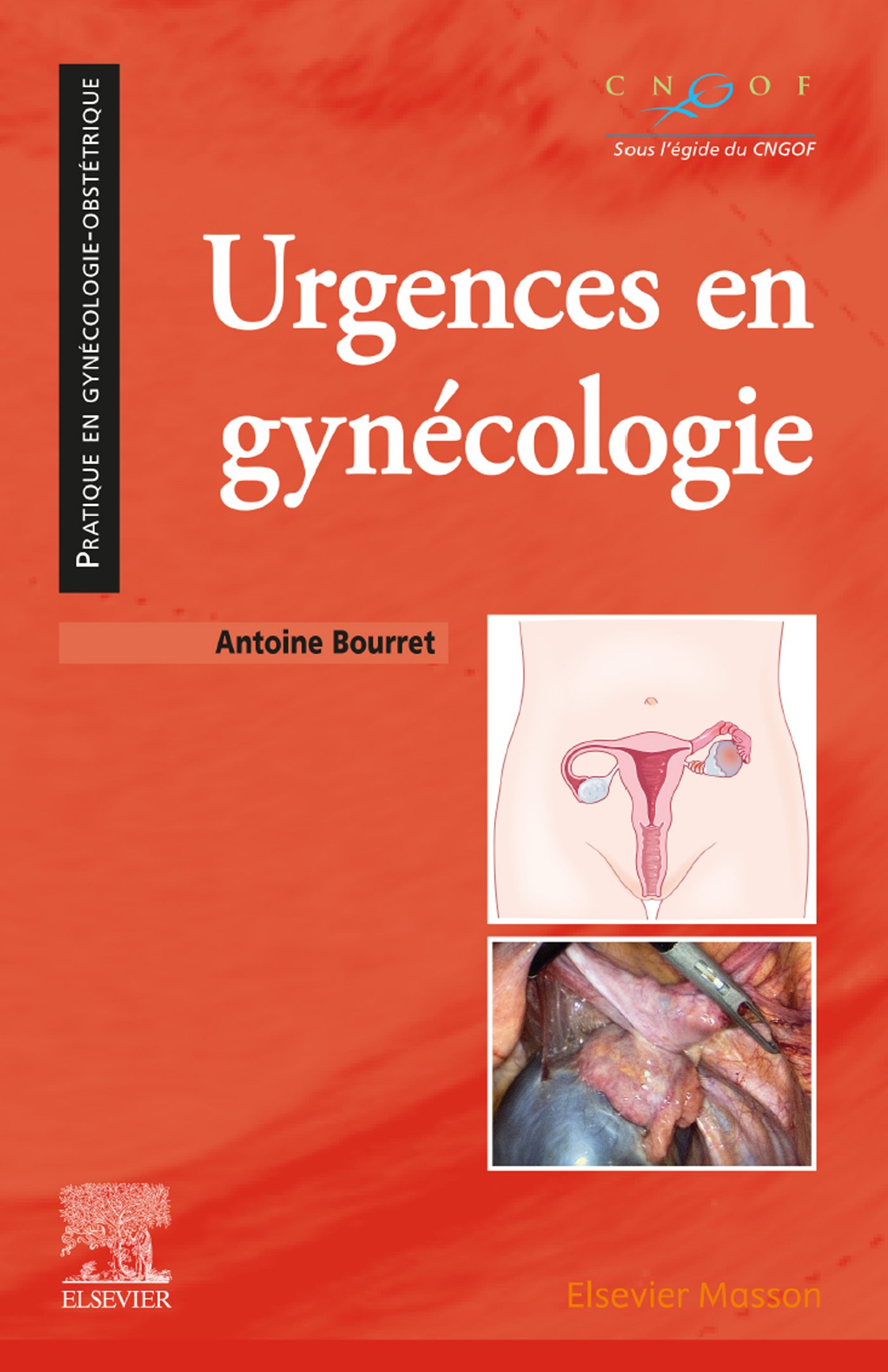 Urgences en gynécologie (EPUB) Urgences en gynécologie (EPUB)