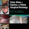 Color Atlas of Canine and Feline Surgical Oncology (EPUB)