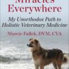 Little Miracles Everywhere: My Unorthodox Path to Holistic Veterinary Medicine (EPUB)