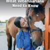 What Veterinarians Need to Know (21st Century Skills Library: Career Expert Files) (PDF)
