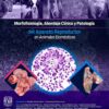 Morfofisiología, abordaje clínico y patología del aparato reproductor en animales domésticos (Spanish Edition) (EPUB)