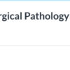 DocmedED 2025 A Practical Approach to Surgical Pathology Volume XI