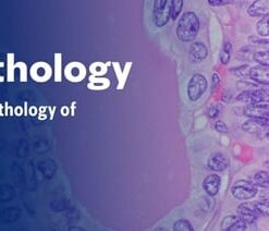 Head & Neck Pathology – The Pathology of Neoplastic Diseases 2025 (Videos with subtitles + Slides)