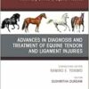 Advances in the Diagnosis and Treatment of Equine Tendon and Ligament Injuries, An Issue of Veterinary Clinics of North America (Volume 41-2) (EPUB) Advances in the Diagnosis and Treatment of Equine Tendon and Ligament Injuries, An Issue of Veterinary Clinics of North America (Volume 41-2) (EPUB)