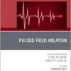 Pulsed Field Ablation, An Issue of Cardiac Electrophysiology Clinics (The Clinics: Internal Medicine, Volume 17-2) (PDF)