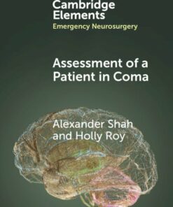 Assessment of a Patient in Coma (EPUB)